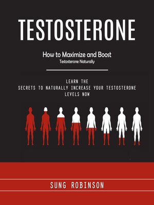 cover image of Testosterone